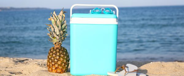 Summery coast cool box